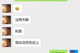 云县贷款清欠服务